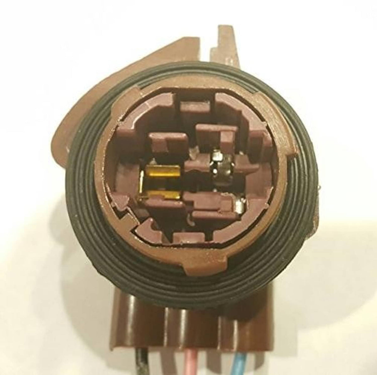 Light socket pigtail connector with brass and gold contacts in brown housing