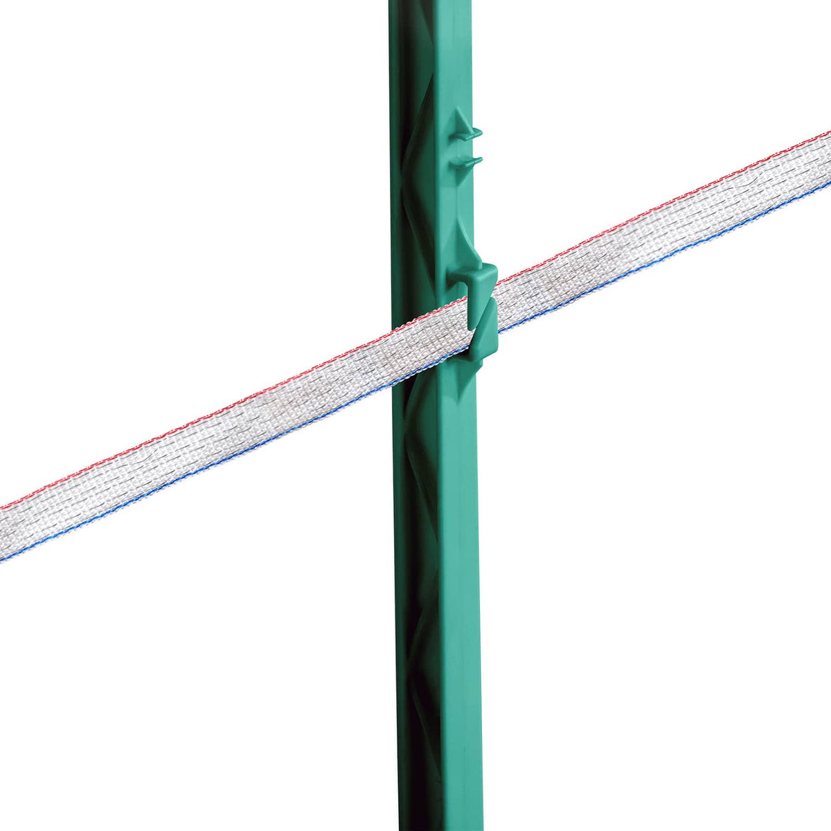 Tensioned electric fence tape secured to a green post clip, red-white-blue strands