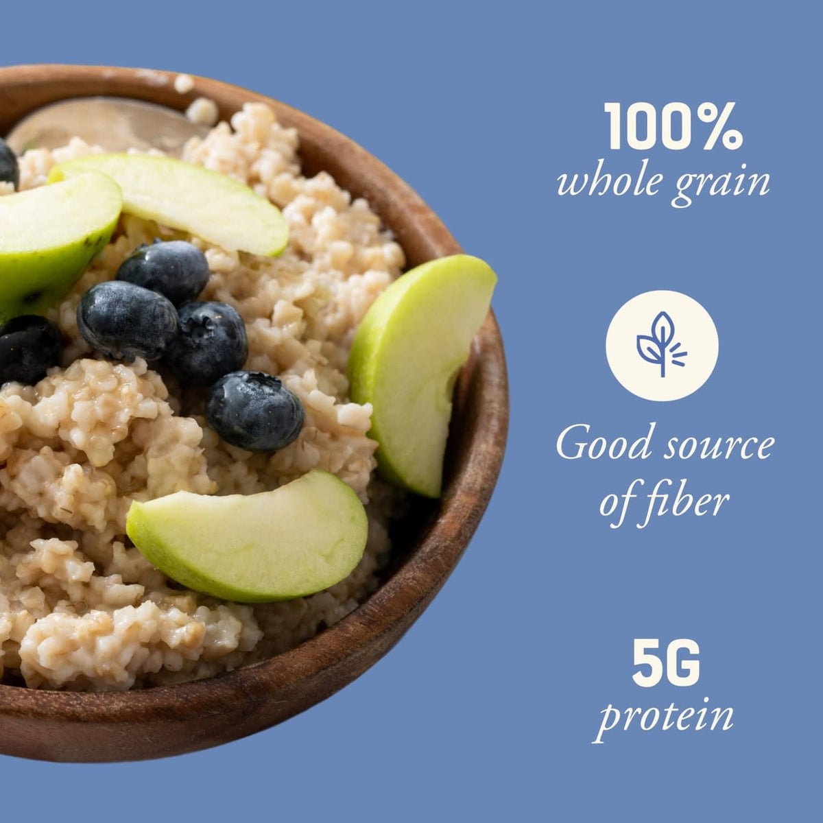 Steel cut oats in a wooden bowl topped with blueberries and apple slices