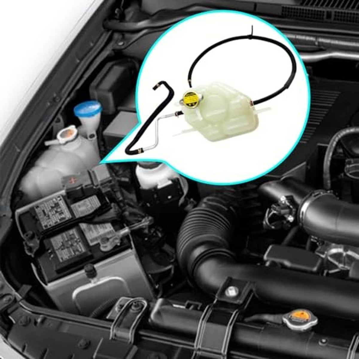 Engine coolant reservoir tank with cap and hoses highlighted in engine bay