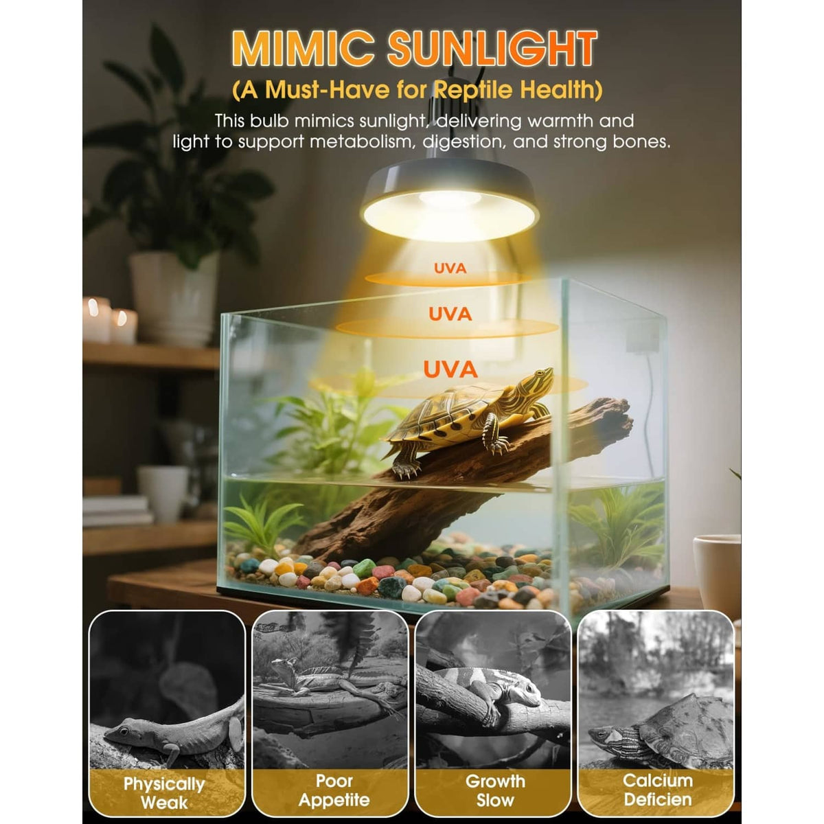 Glowing UV basking heat lamp bulb above a reptile terrarium with water and plants
