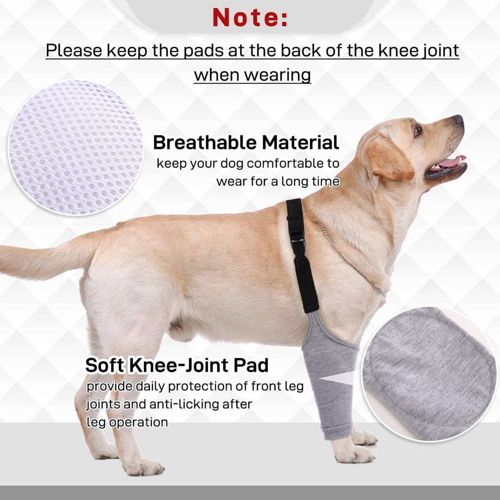 Light grey dog recovery suit with soft knee pad and black back strap, front-leg sleeve