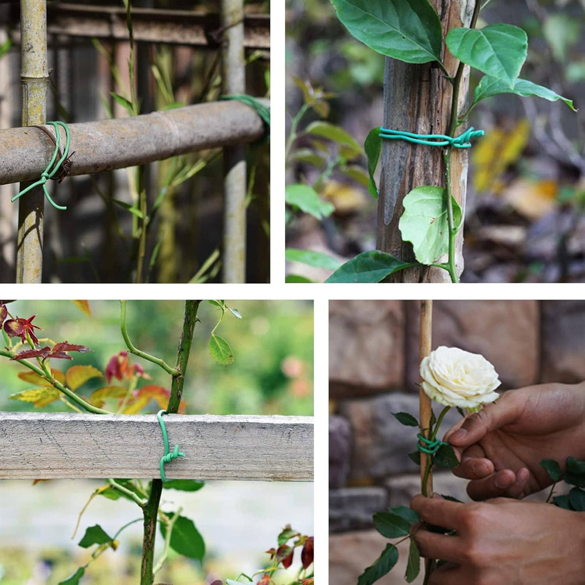 Green twist ties fastened to a fence post and garden stems