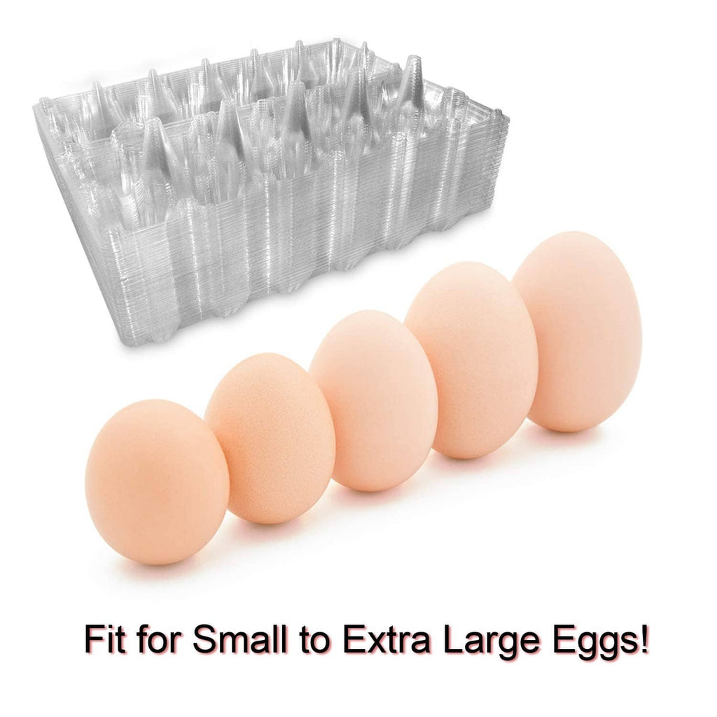 Clear plastic egg carton holding a row of light beige eggs