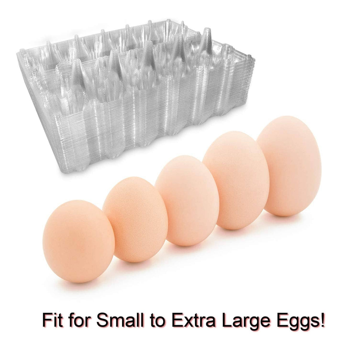 Clear plastic egg carton holding a row of light beige eggs