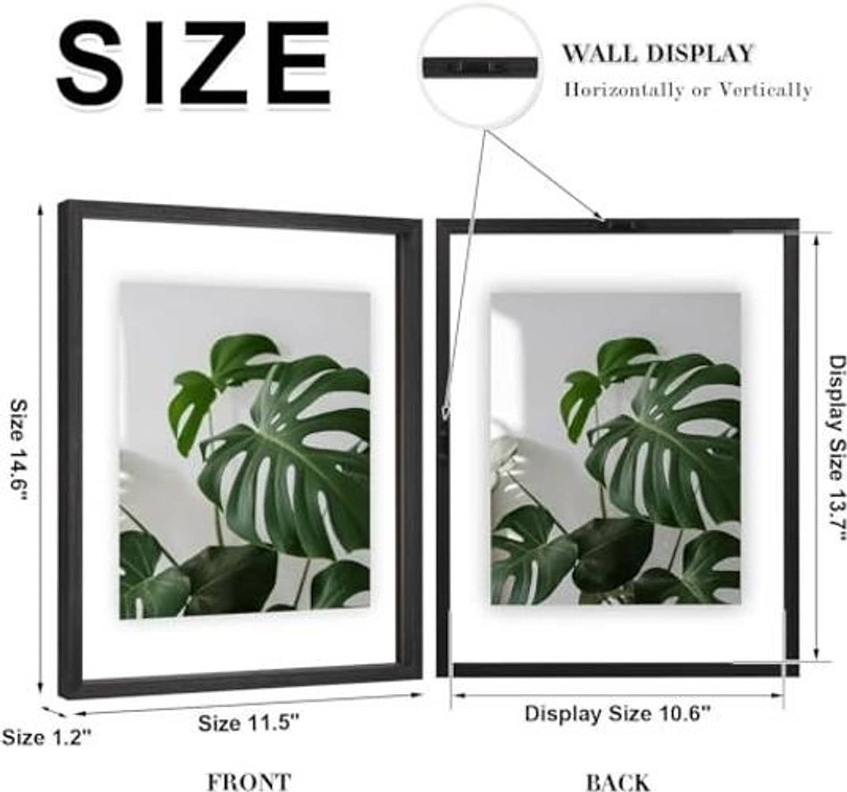 11x14 floating frame set diagram showing front and back double-plexiglass dimensions