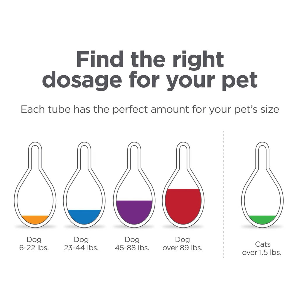 Dosage guide with tube icons for dogs and cats, FirstAct Plus sizing graphic