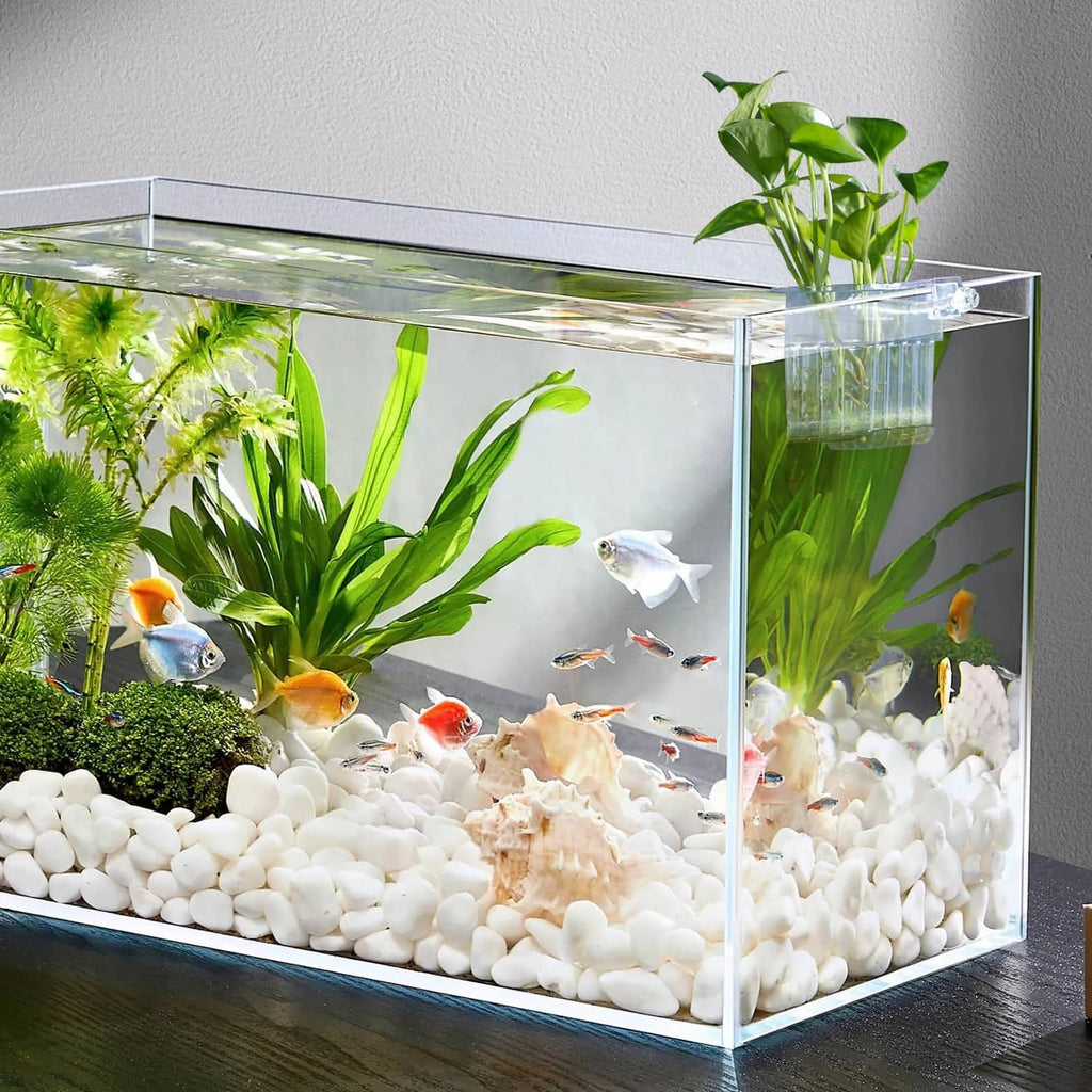 Transparent hanging aquarium plant holder pot mounted on tank rim with green plants