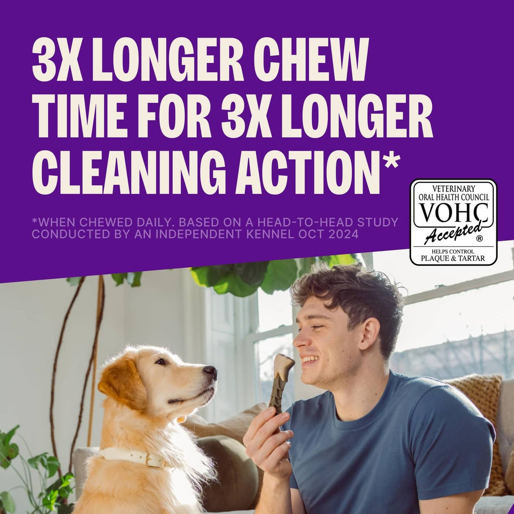Dog dental chew being held with a man and dog beside home interior