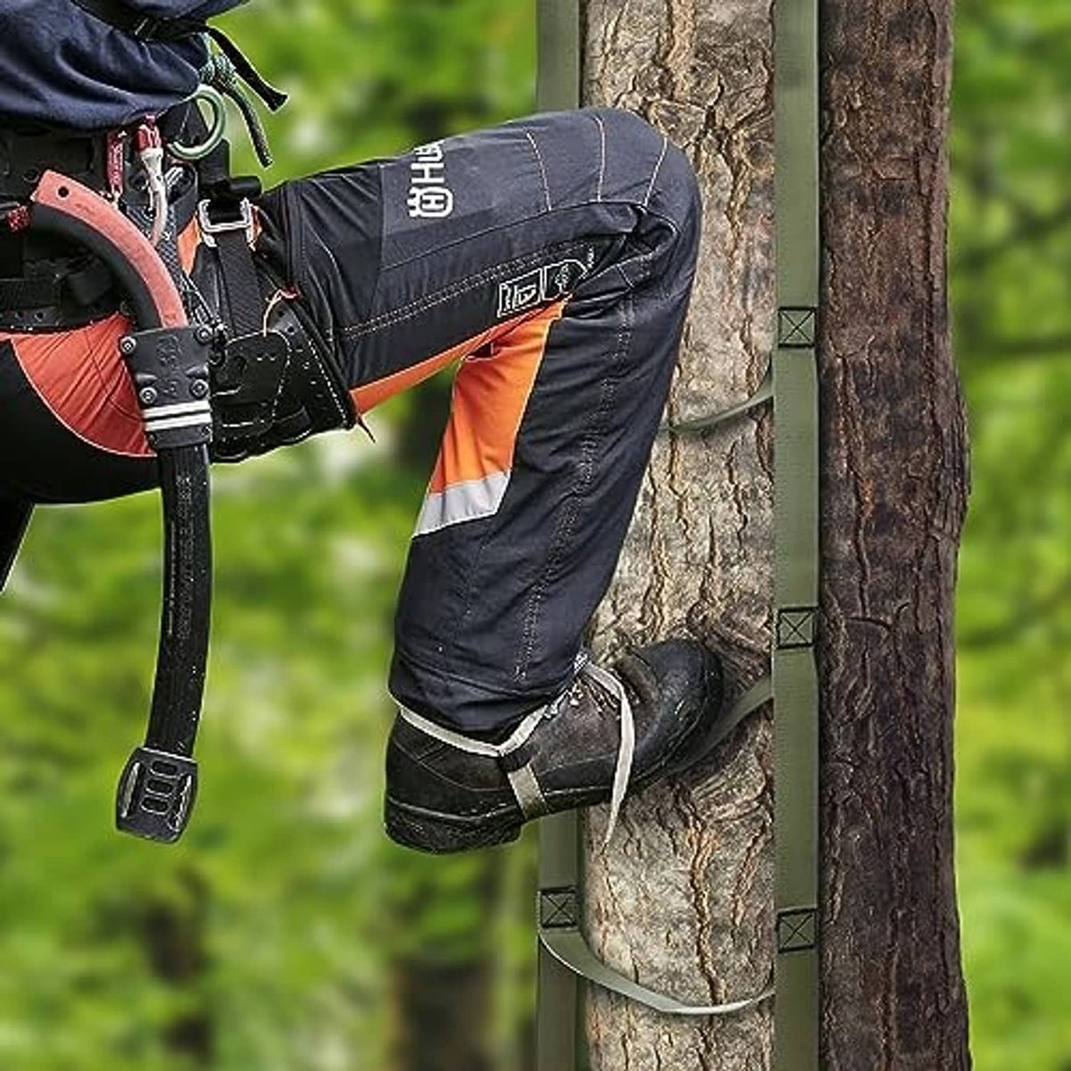 Tree climbing stick aider straps with four gray foot steps on a tree