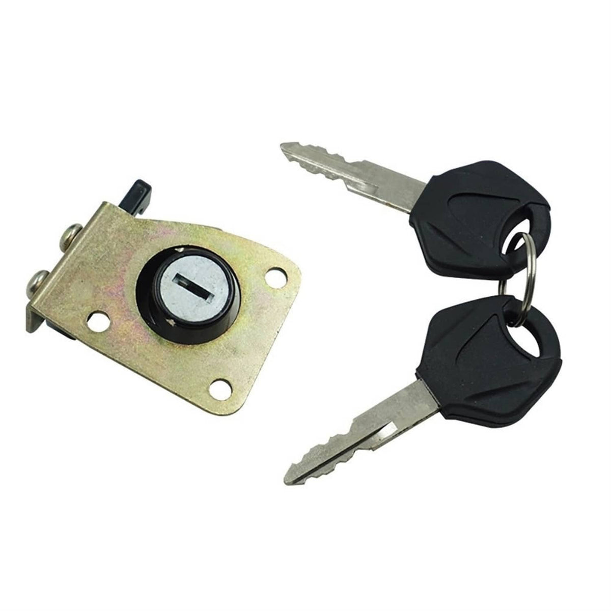 Key lock cylinder with metal mounting plate and two matching keys