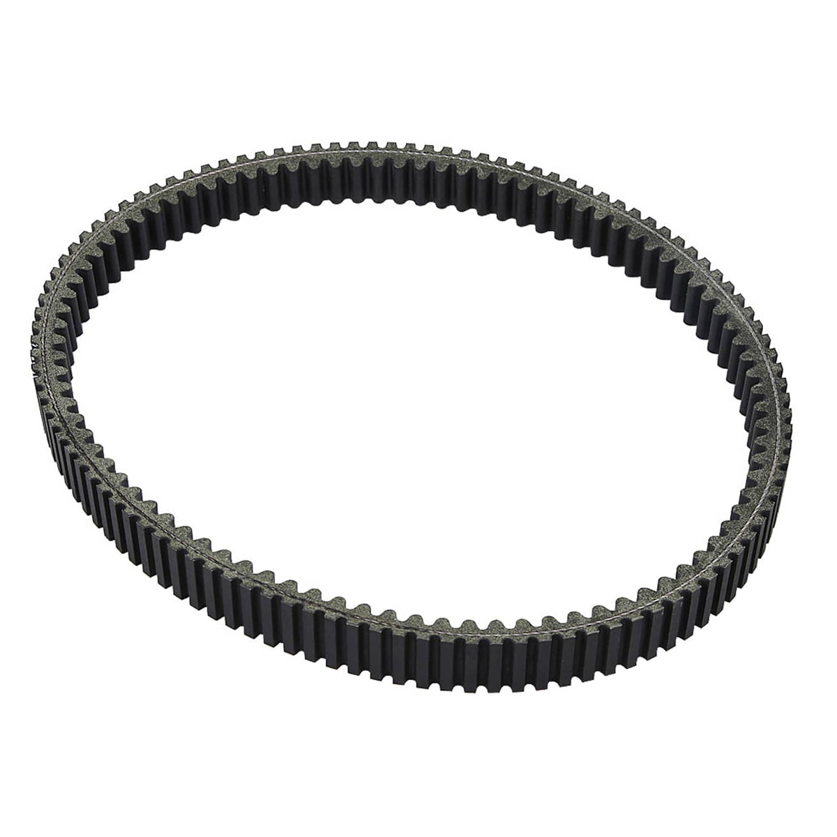 Black ribbed drive belt loop, close curved view with textured teeth