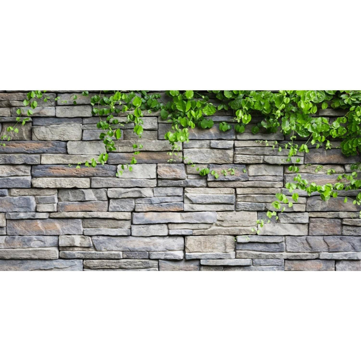 Stone brick aquarium vinyl backdrop with green ivy vines and leaves