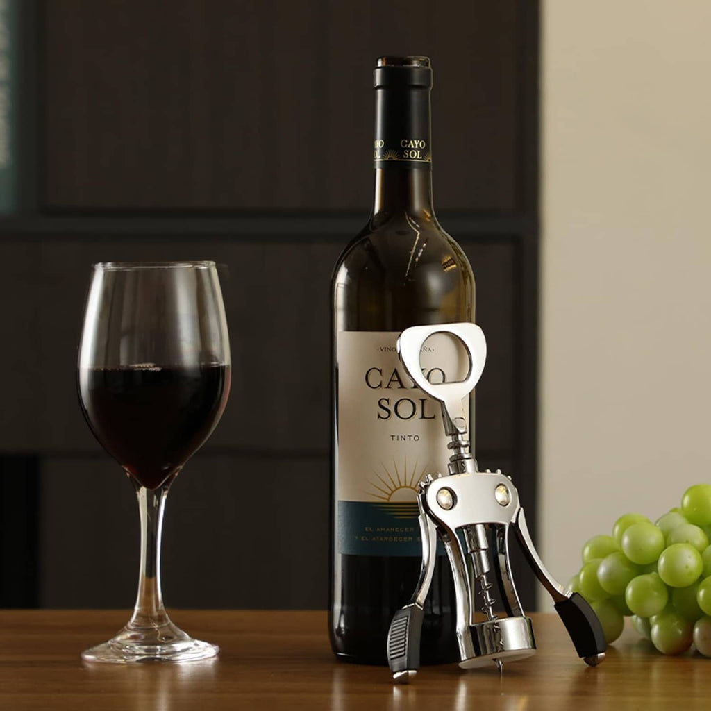 Silver wine bottle pourer accessory attached to a wine bottle