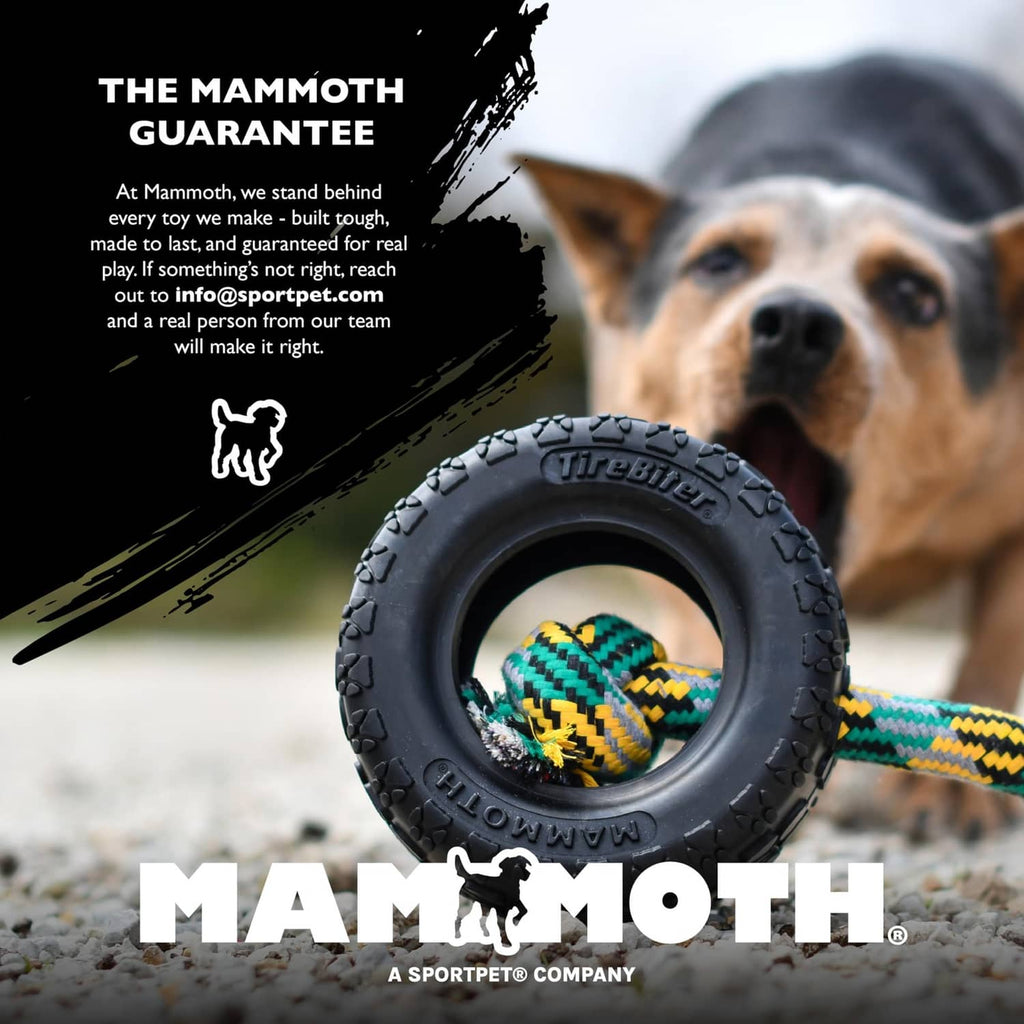 Dog near a black tire-shaped chew toy with a rope inside the circular opening