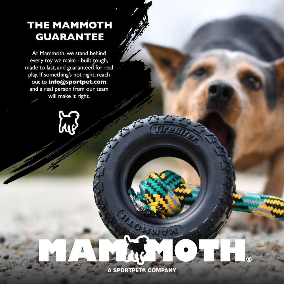 Dog near a black tire-shaped chew toy with a rope inside the circular opening