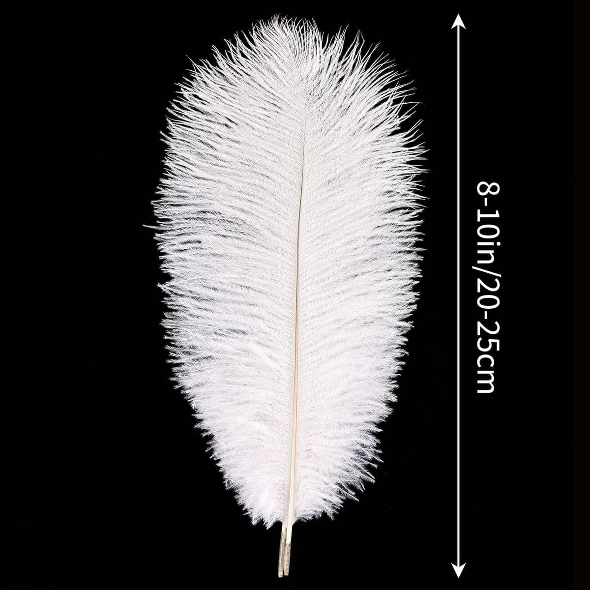 White ostrich feather single with long plume and slim quill; length shown 8–10 in (20–25 cm)