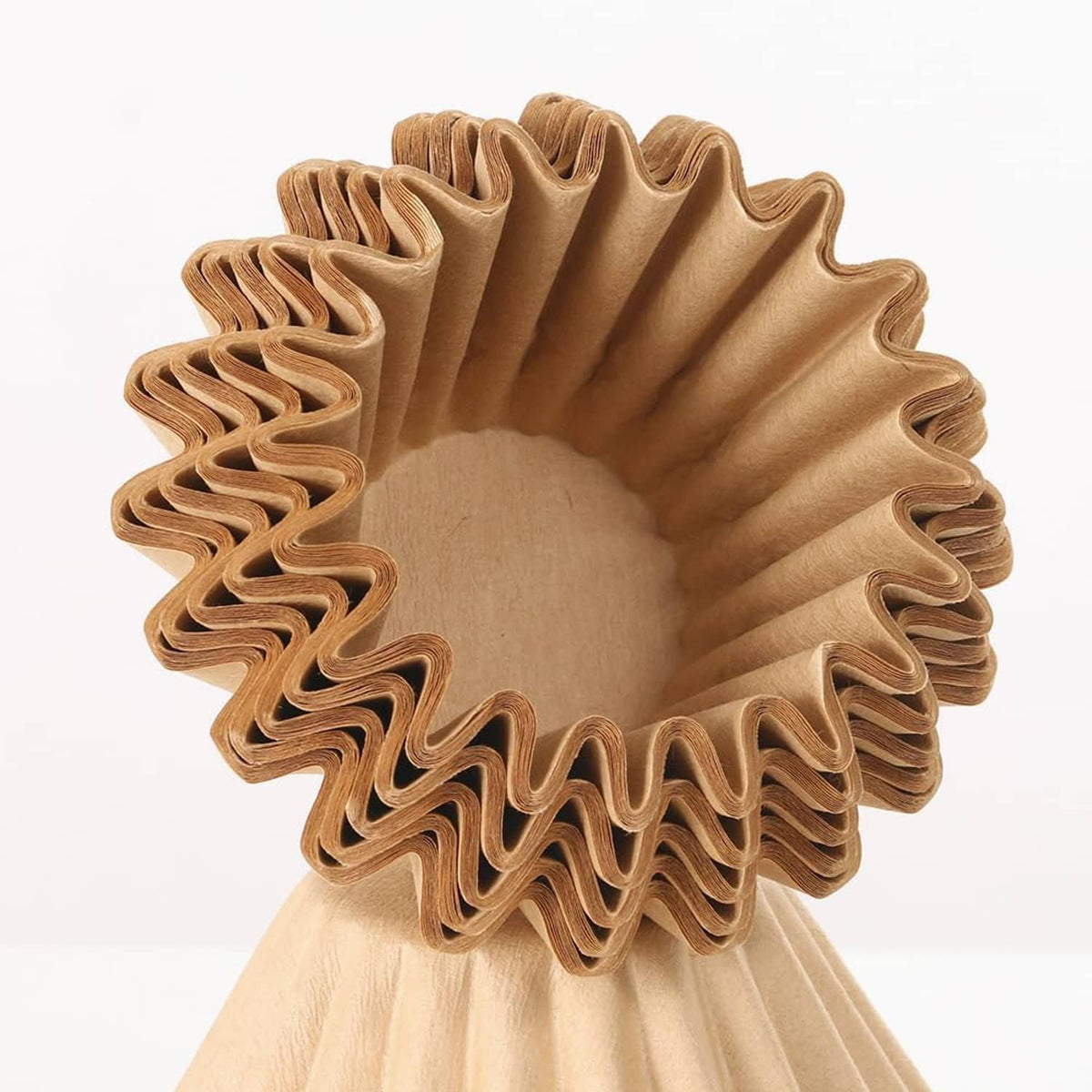 Natural coffee filter with pleated ridges and circular base, empty