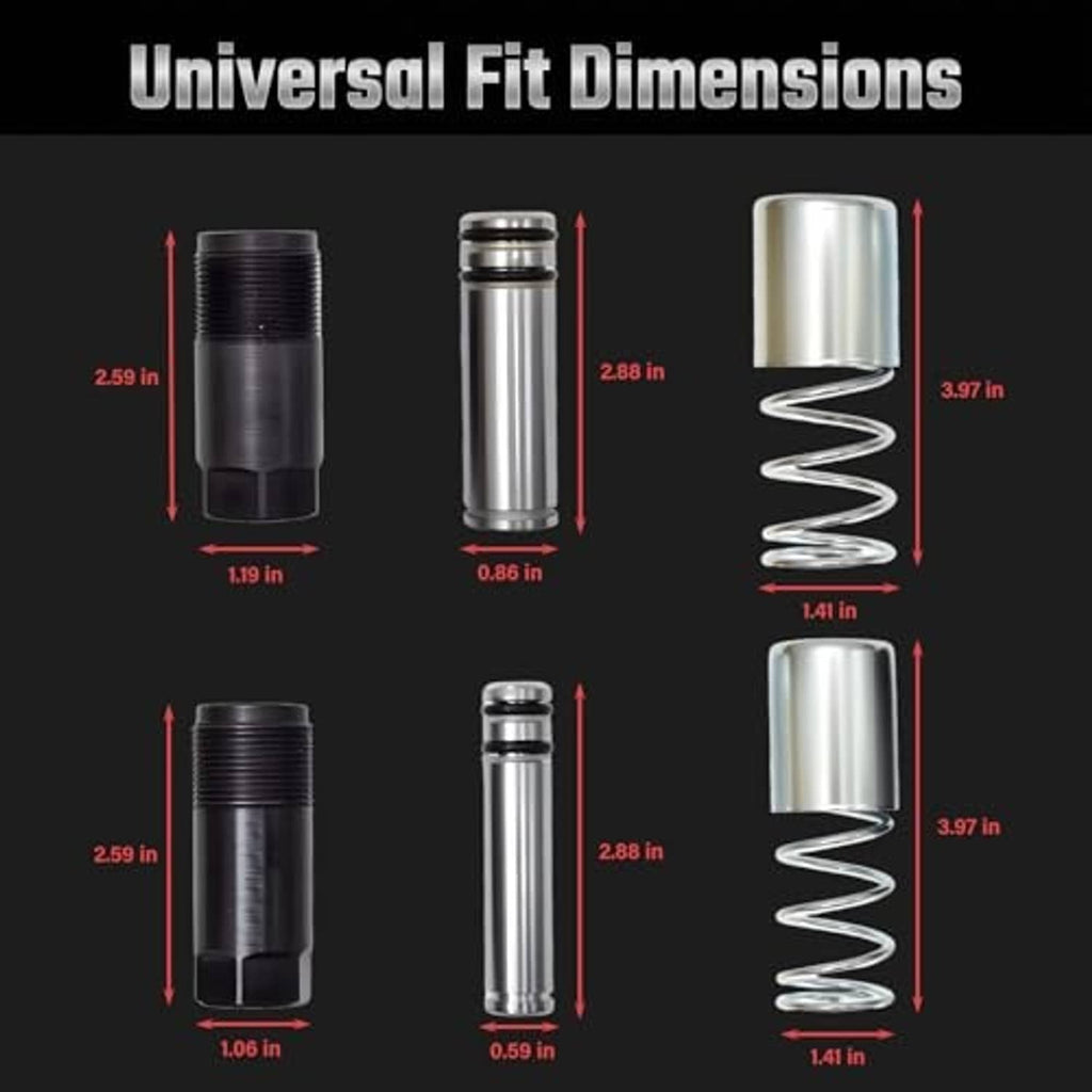 Repair kit component size diagram showing plunger bodies, cylinder sleeves, and springs
