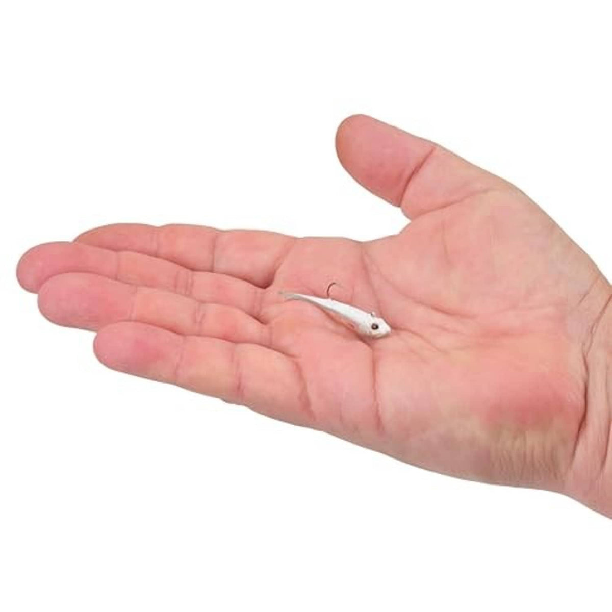 Soft plastic fishing lure in pale white with blue/pink accents, resting on an open hand