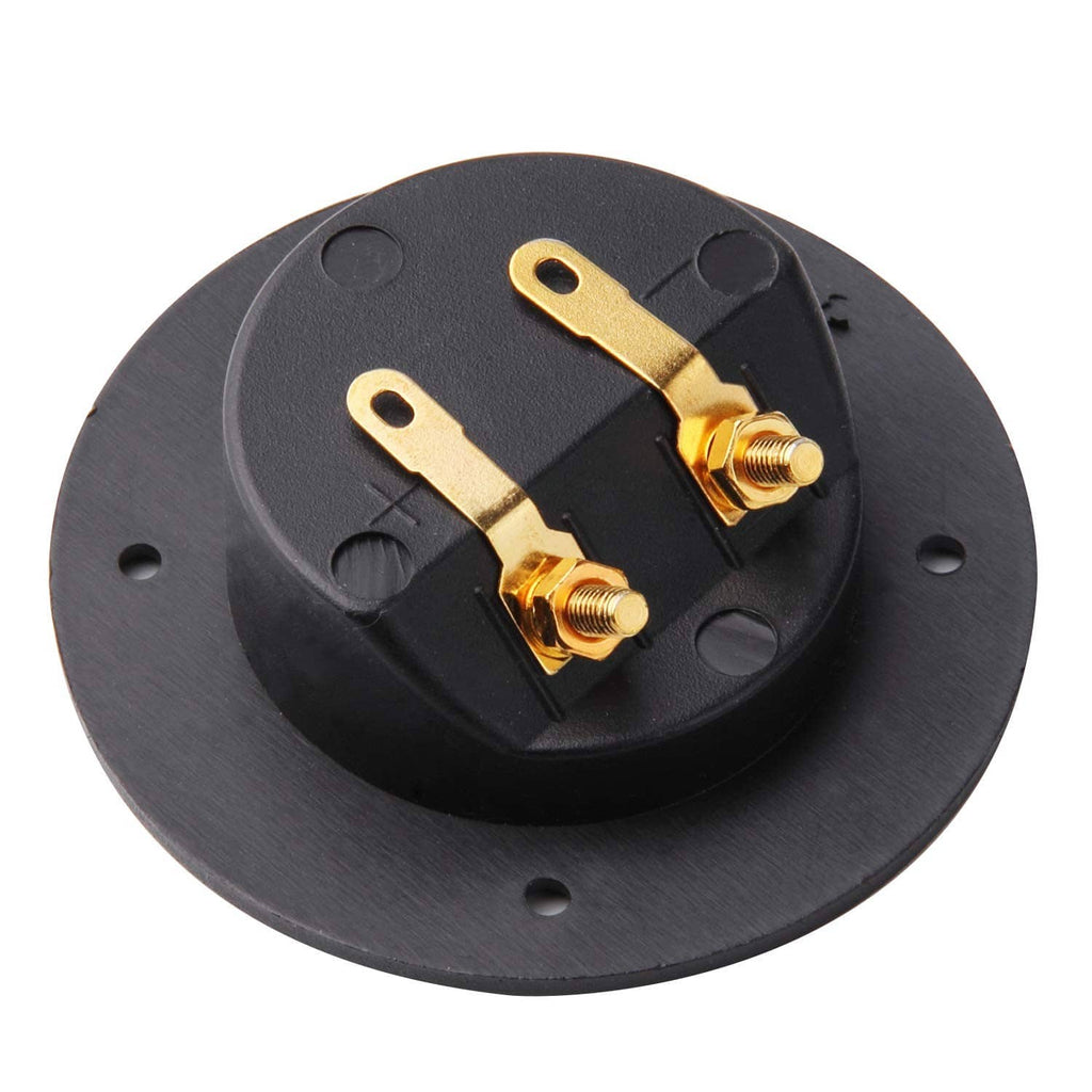 Black terminal cup with two gold binding posts and mounting plate