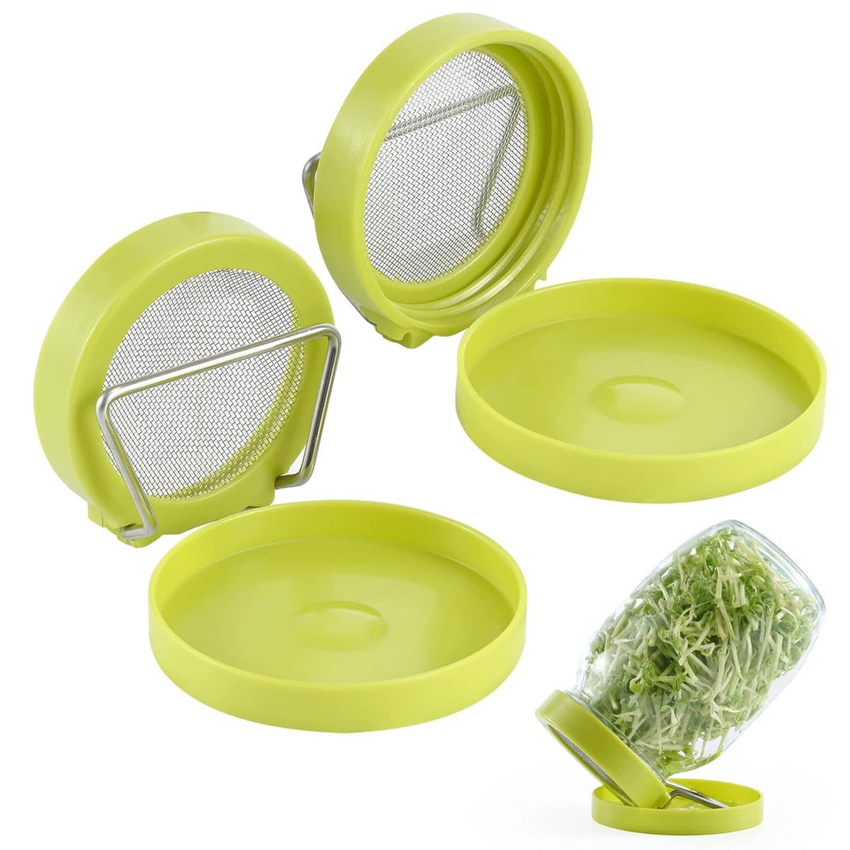 Green seed sprouter kit with mesh screen lid, base, and clamp stand