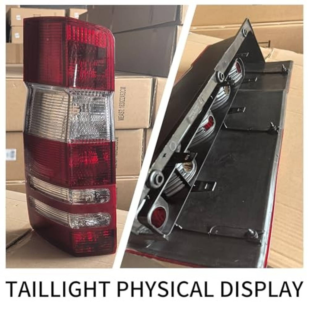 Rear tail light displayed from front and back, red and clear lens assembly.