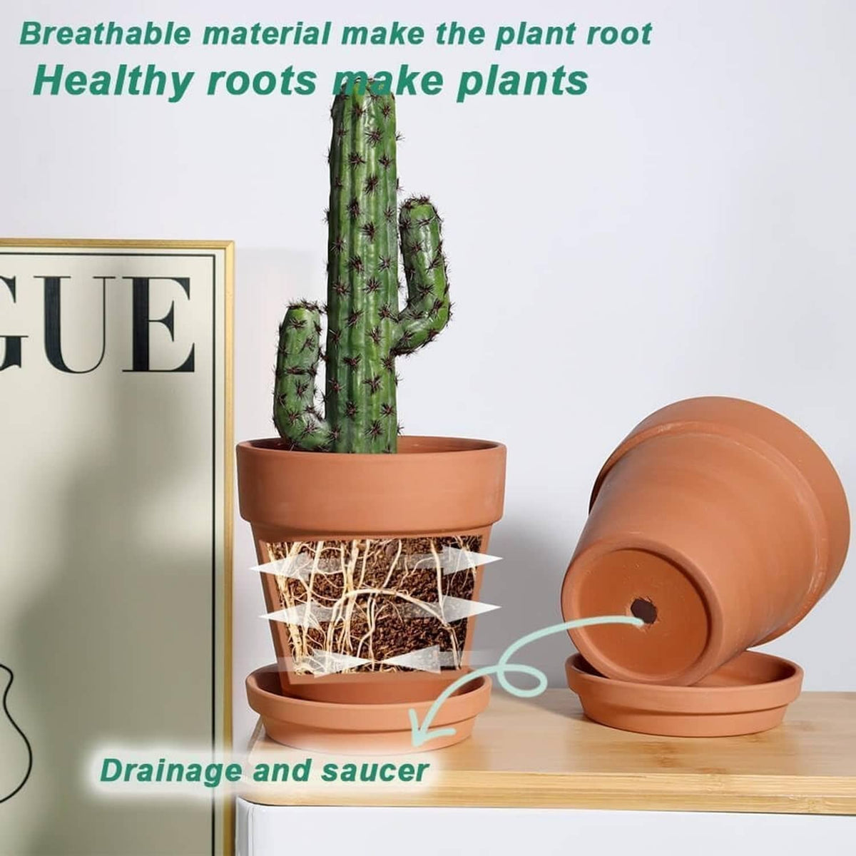 Terracotta plant pot with matching saucer, holding a cactus