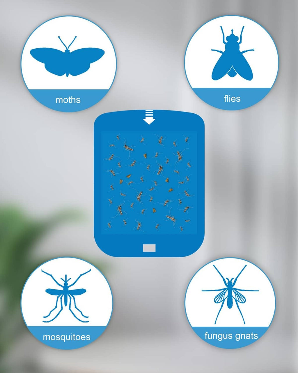 Blue light trap refill sticky pad with insect icons: moths, flies, mosquitoes, gnats