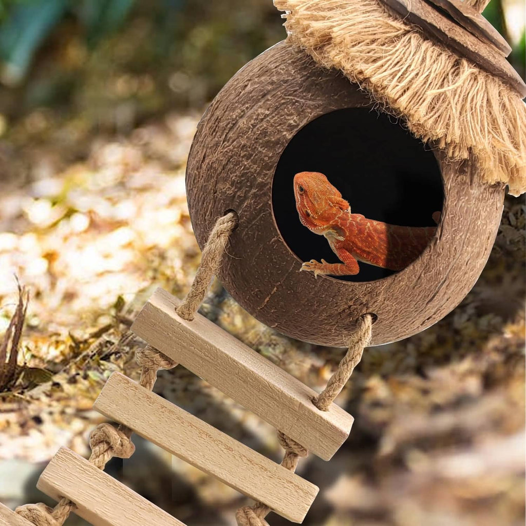 Coconut gecko hide with raffia fringe and entrance opening, wooden ladder with orange gecko