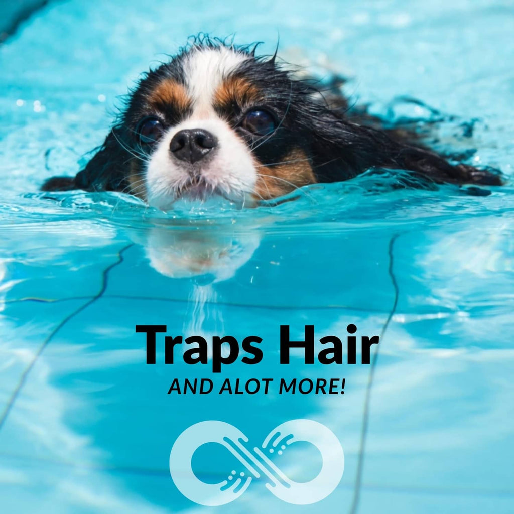 Aquabeacon pool skimmer sock ad graphic with dog swimming in pool water