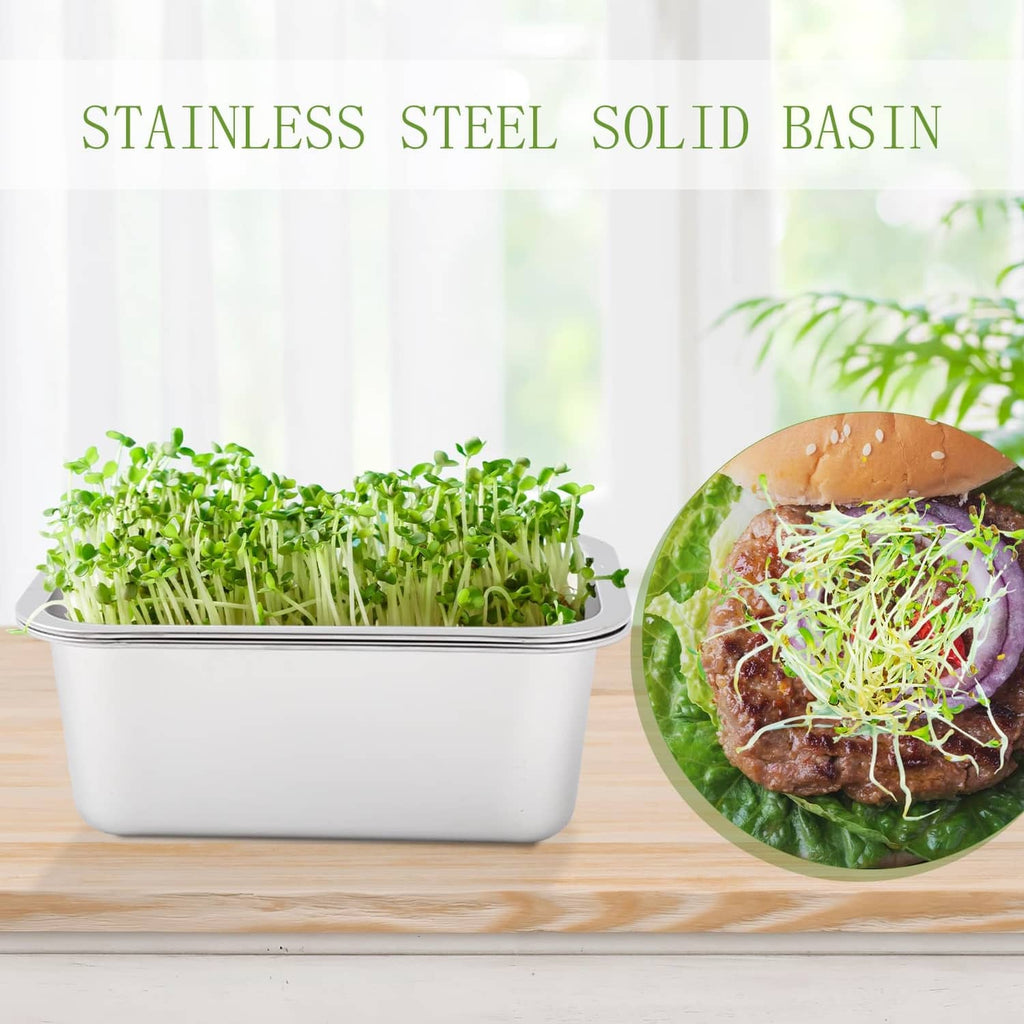 Stainless steel solid sprouting tray filled with green sprouts