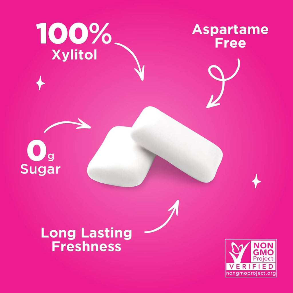 Xylitol gum pouch and white gum pieces, 100% xylitol, aspartame-free