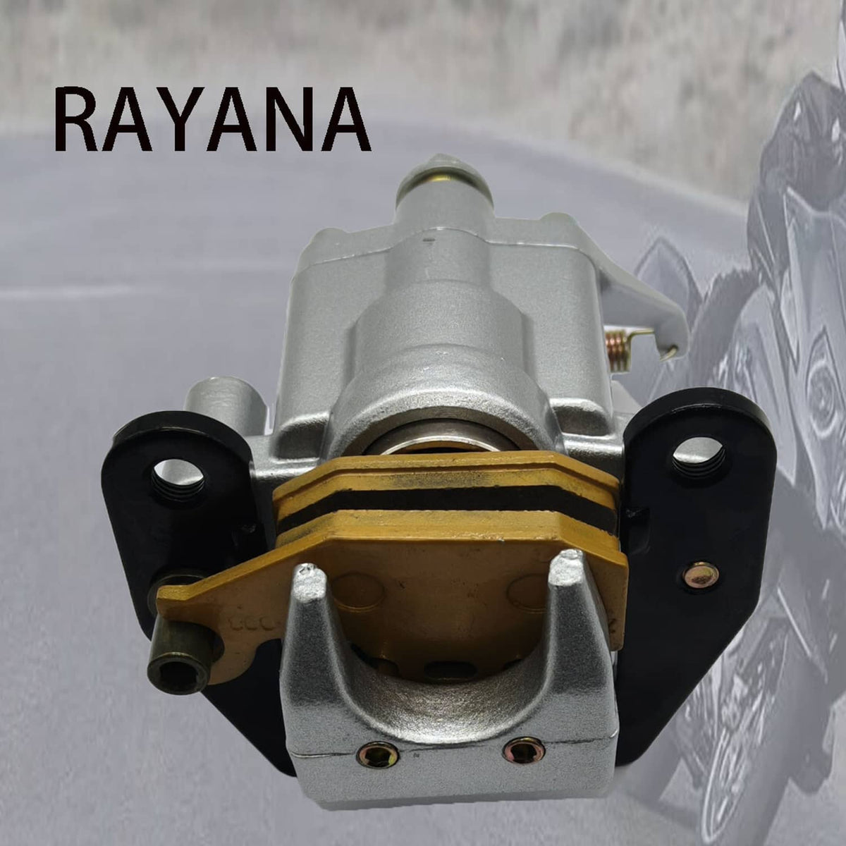 Rear brake caliper with visible pad area and black rubber mounts, close-up front