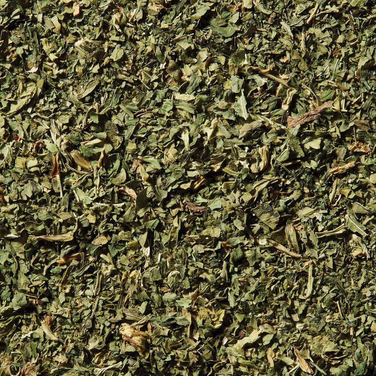 Pile of dried green celery flakes seasoning