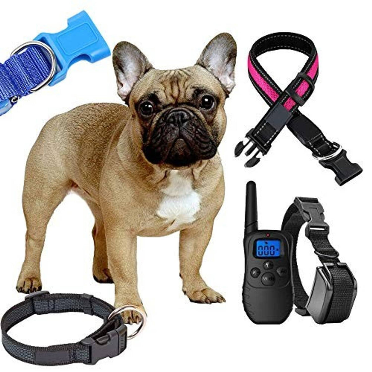 Black dual adjustable side-release buckle straps for pet harness and gear clips