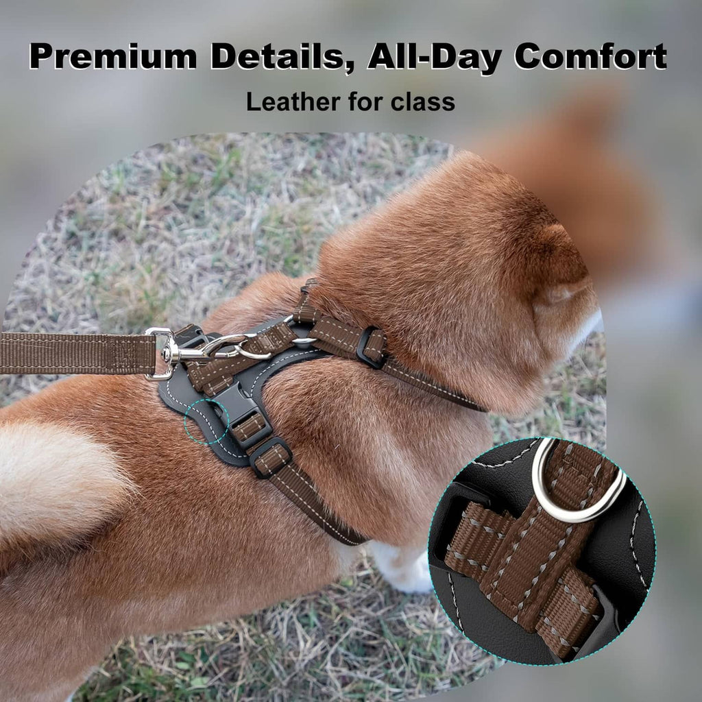 Brown no-pull dog harness with leather accents and front straps on a tan dog
