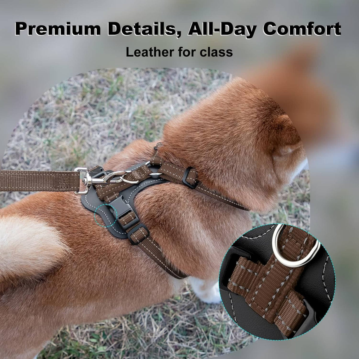 Brown no-pull dog harness with leather accents and front straps on a tan dog