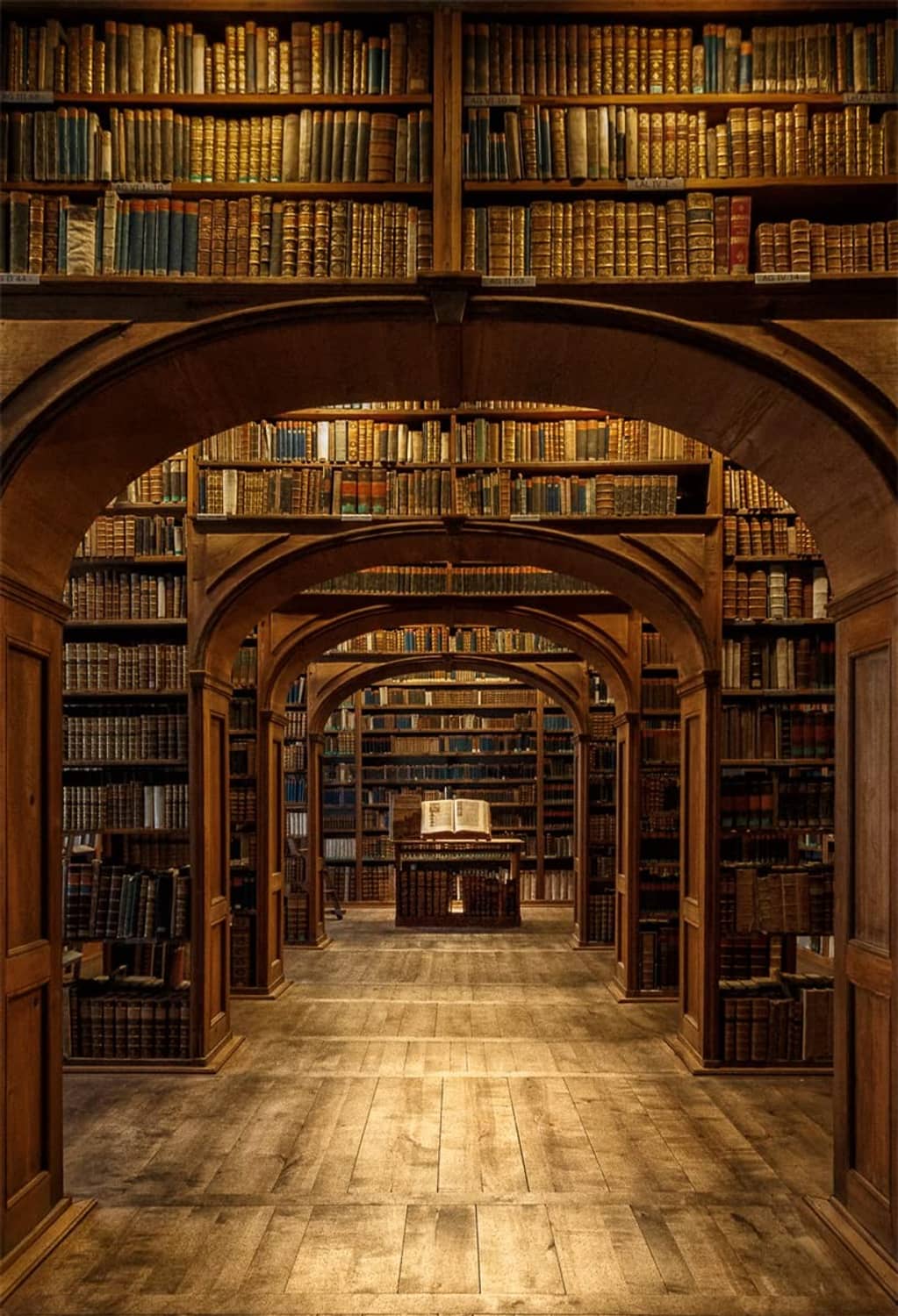 Library photography backdrop showing a long aisle of books and arched corridor