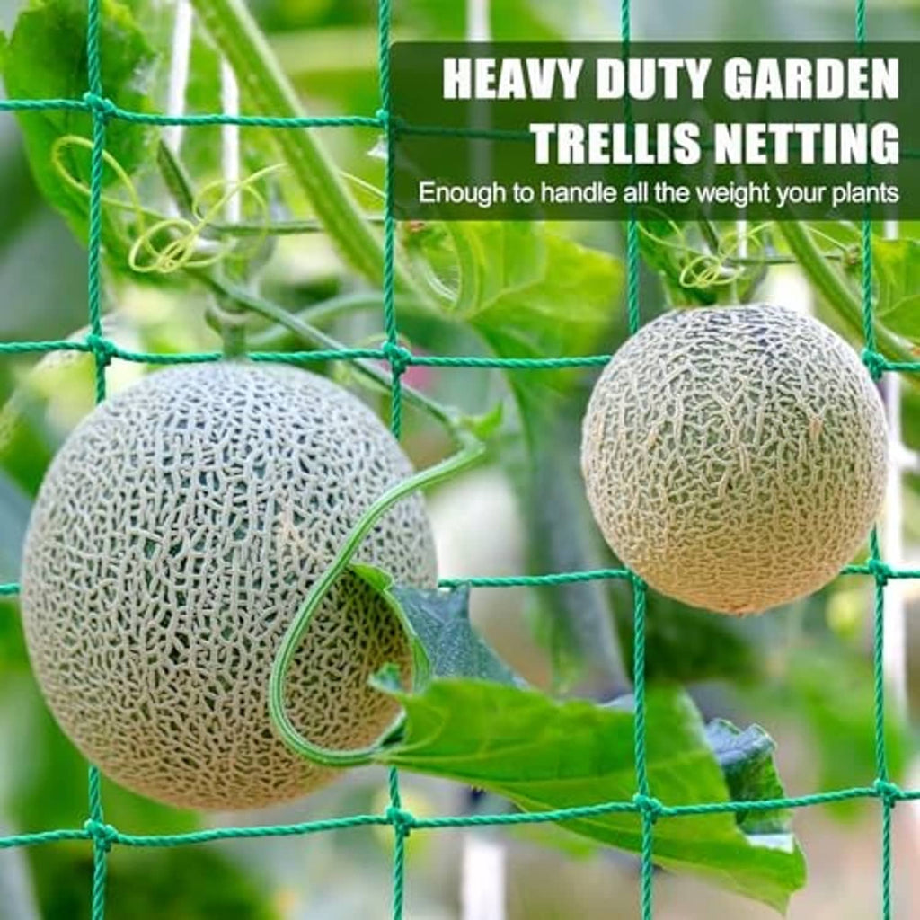 Garden trellis netting, heavy-duty teal grid supporting melons