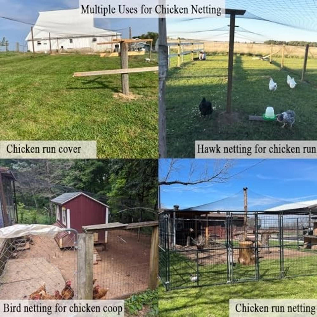 Chicken run netting collage showing overhead cover and hawk-protection mesh