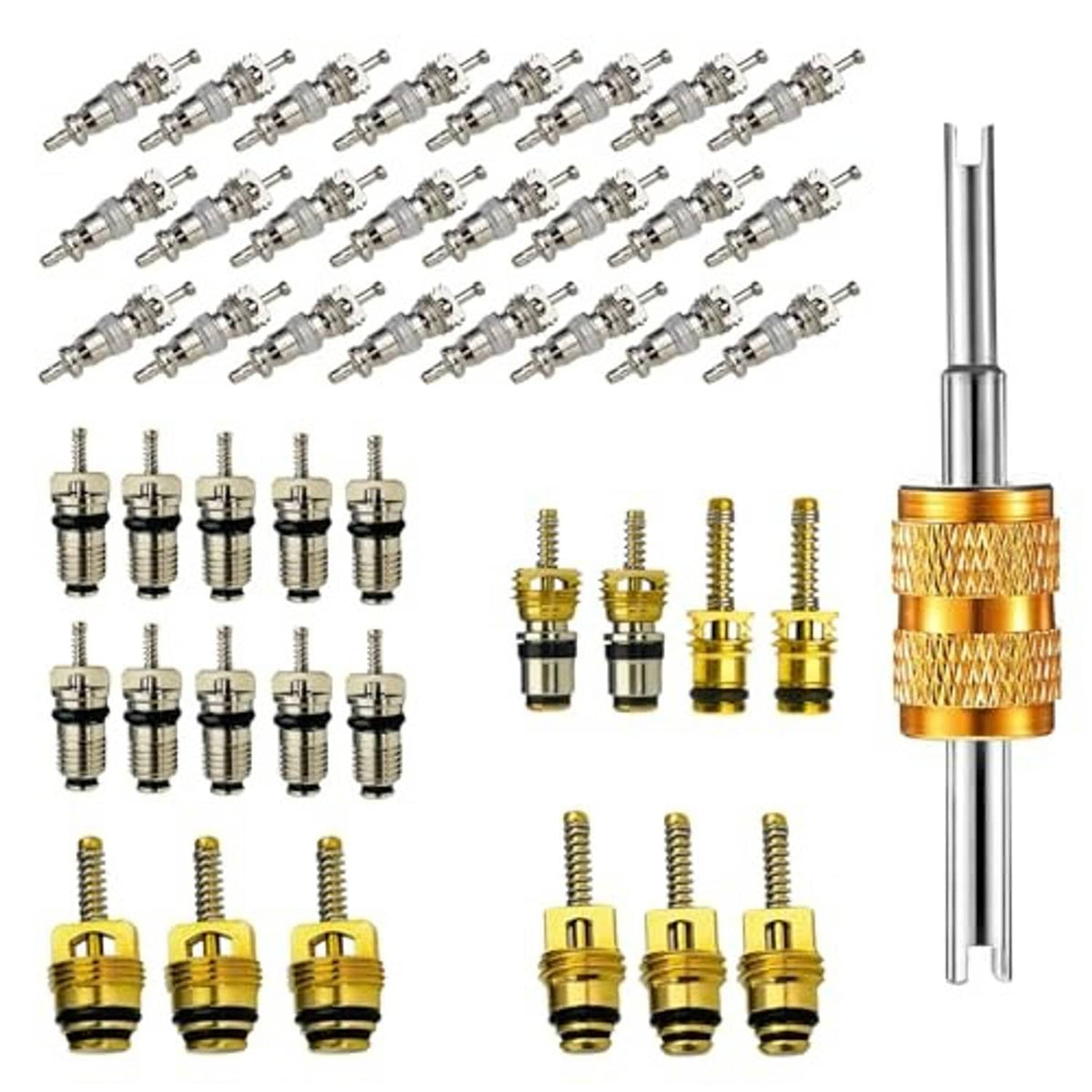 AC valve core kit with many valve cores and a gold-handled removal tool