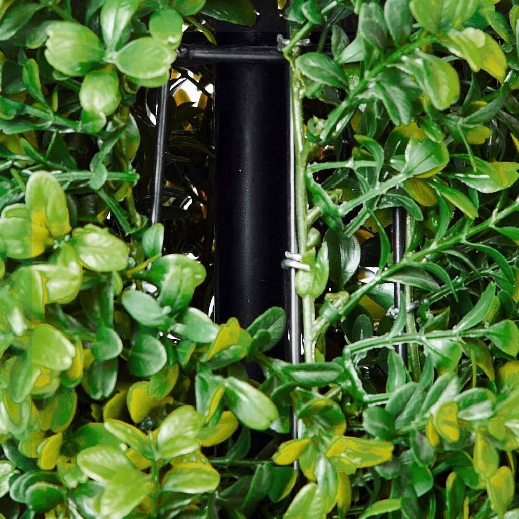 Artificial boxwood topiary tree with dense green leaves around a black trunk