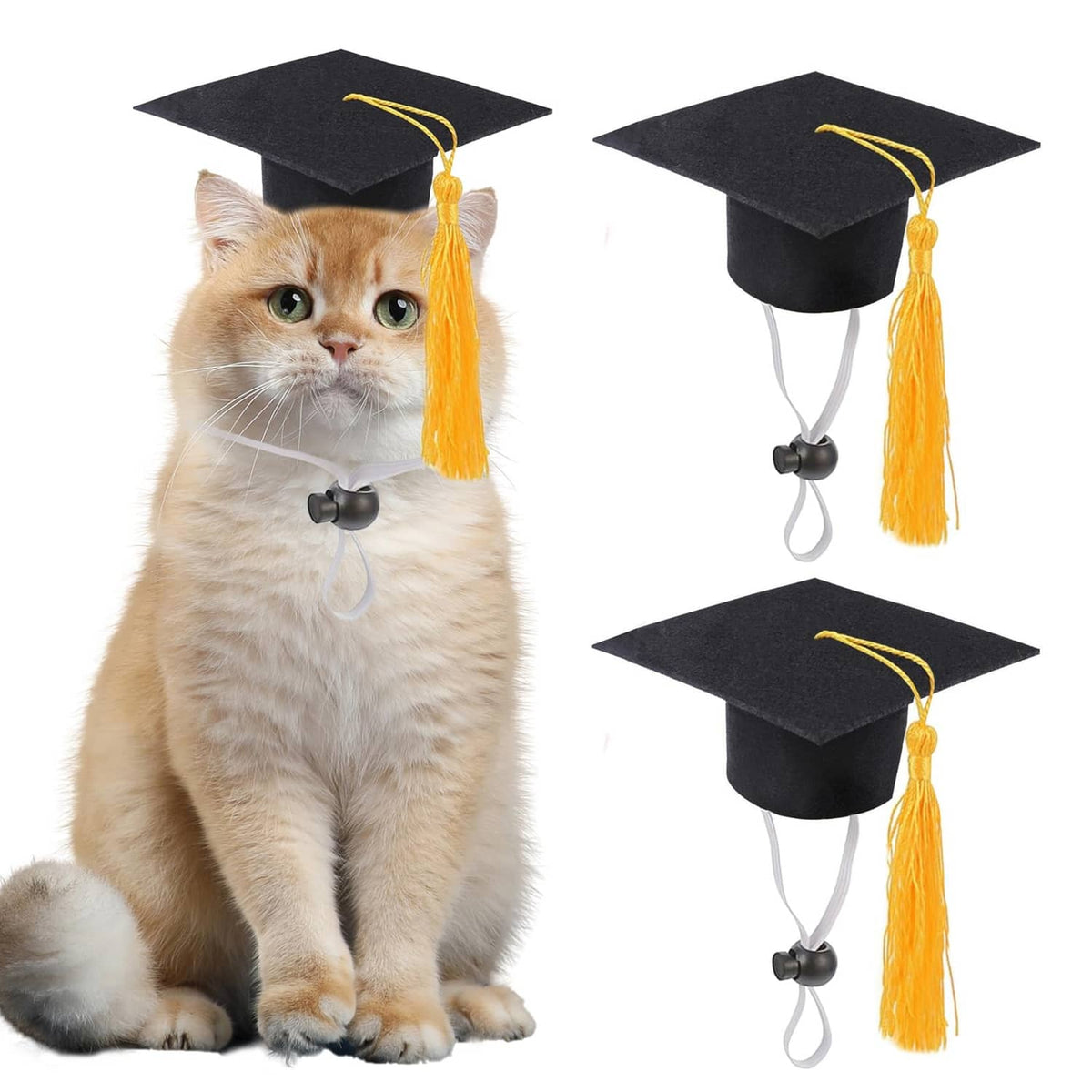 Black mini graduation cap with yellow tassel on a cat, adjustable chin strap.