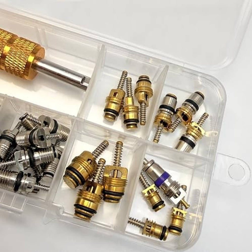Assorted brass and silver A/C valve cores in a clear organizer case