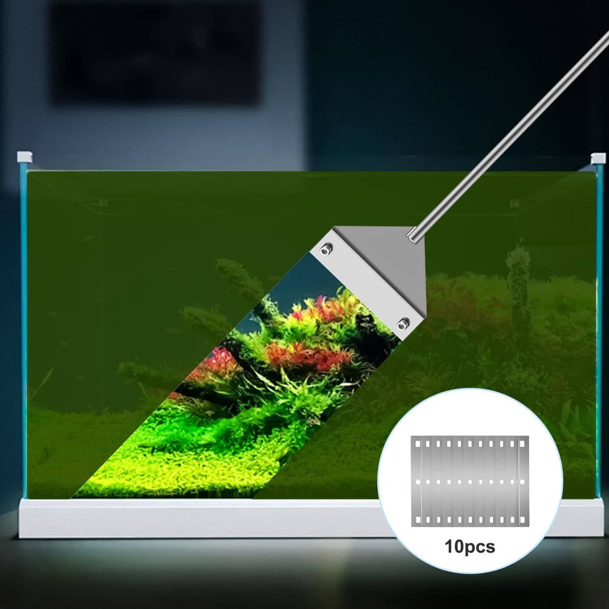 Stainless steel algae scraper reaching across aquarium glass, silver