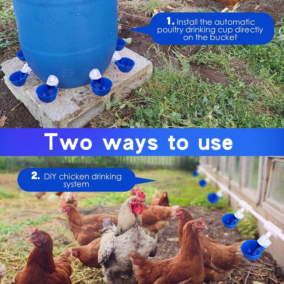 Outdoor chicken automatic waterer on a bucket with several blue drinking cups