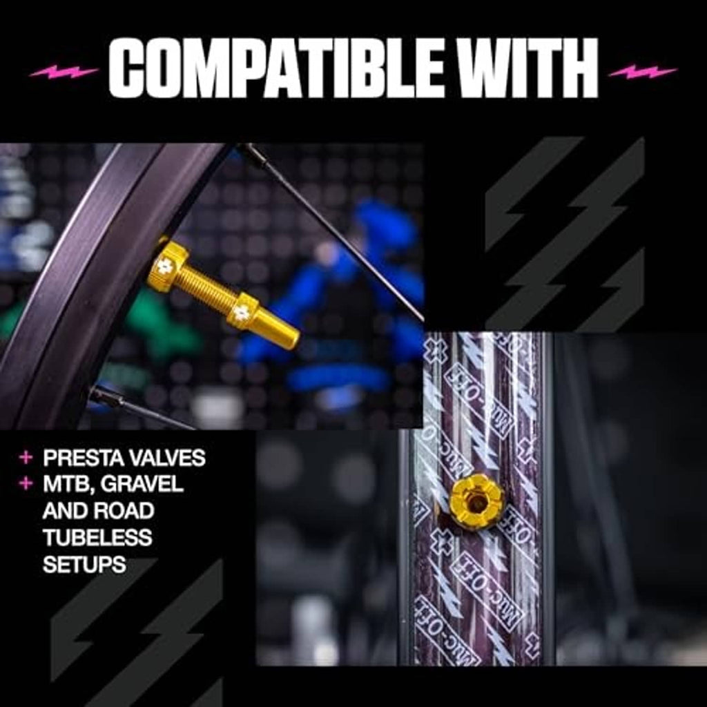 Gold Presta tubeless valve with integrated base, shown next to a rim insert