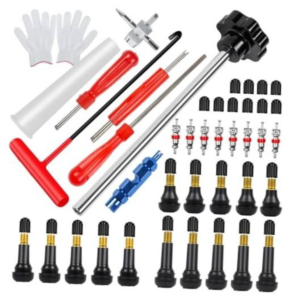 Tire valve stem tool kit with multiple valve cores, caps, and installation tools