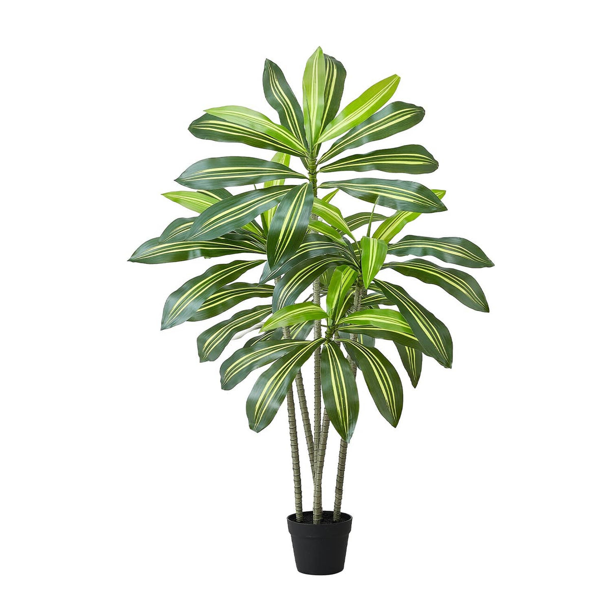 Faux dracaena tree with green striped leaves and black round pot